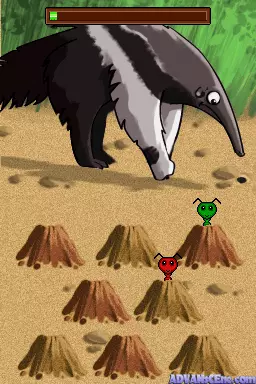 Image n° 3 - screenshots : Junior Classic Games - Animal World